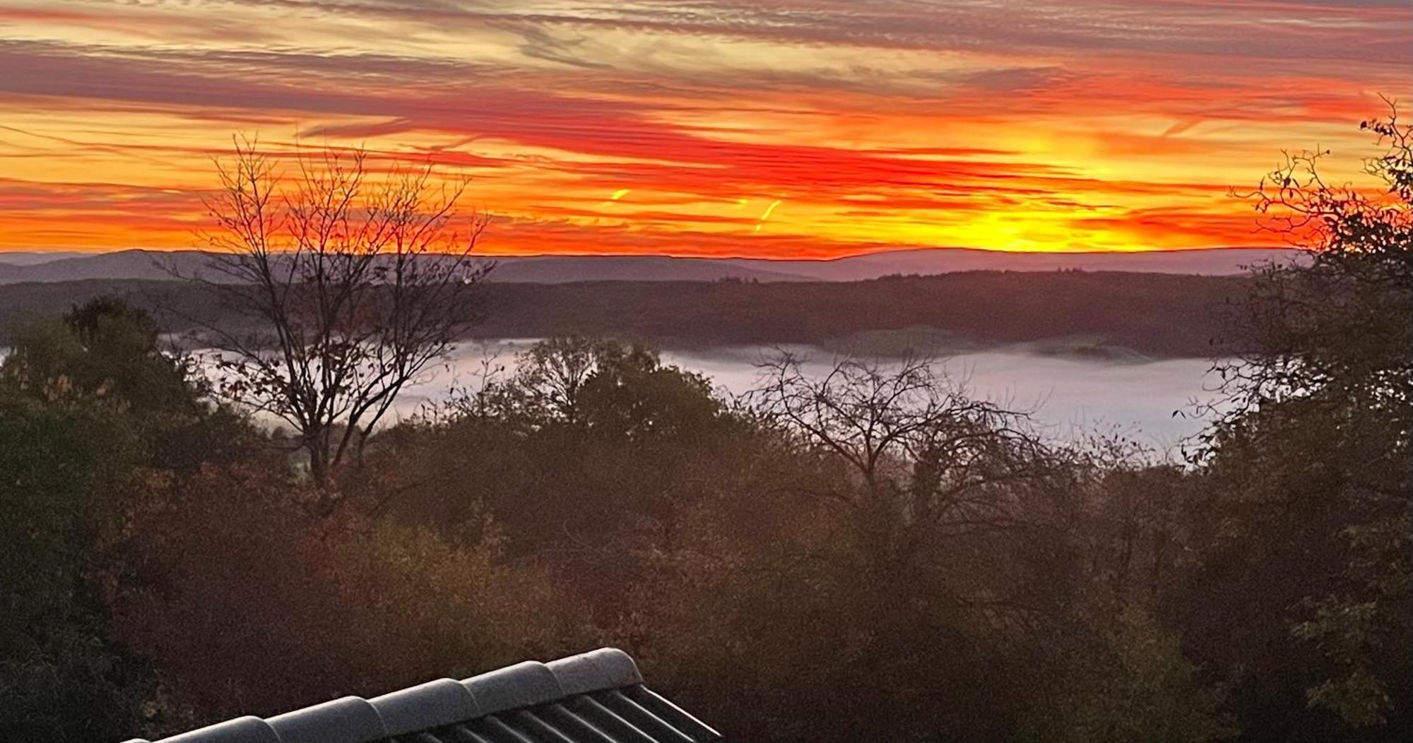 Ferienwohnung Eifel Mosel Hunsrueck Bergweiler Exteriör bild