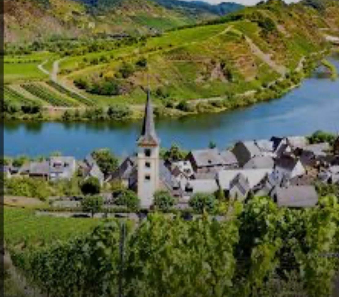 Ferienwohnung Eifel Mosel Hunsrueck Bergweiler Exteriör bild
